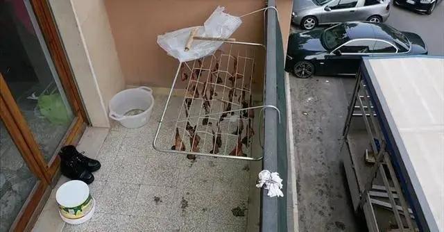 華人陽(yáng)臺(tái)曬雞翅被看成曬蝙蝠，意大利人報(bào)警了，市長(zhǎng)都來(lái)圍觀······